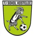 TJ Sokol Kostelec