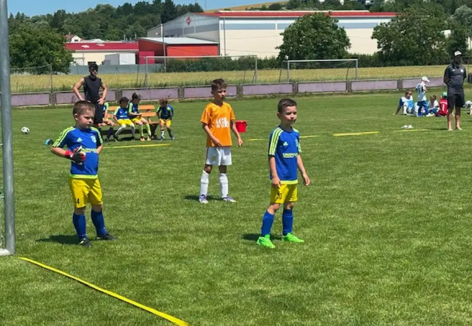 Předpřípravka : Turnaj v Loukách - 20.6.2026