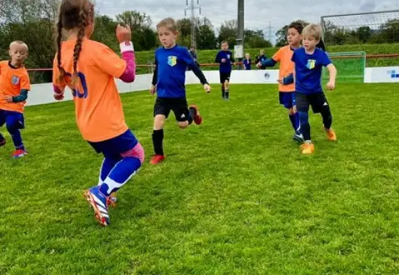 Turnaj benjamínků v Juřince  -  28.9.2024