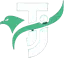 TJ Všemina